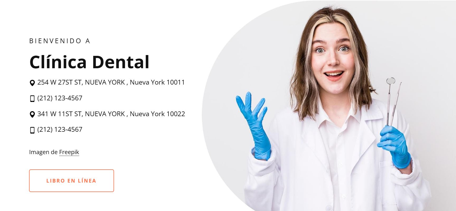 Landing Profesional de Servicios